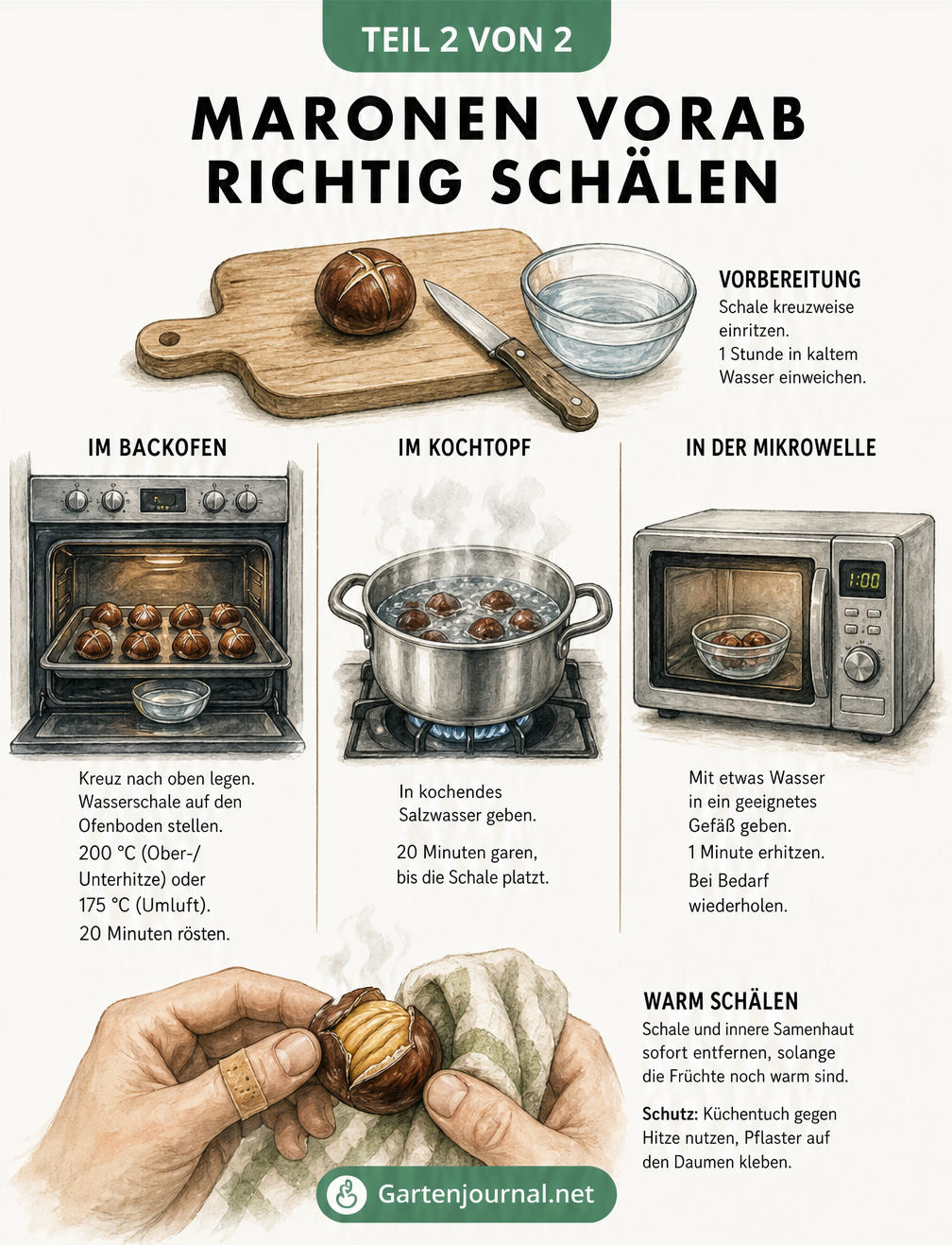 Vergleich von drei Methoden zum Schälen von Maronen: Backofen, Kochtopf und Mikrowelle