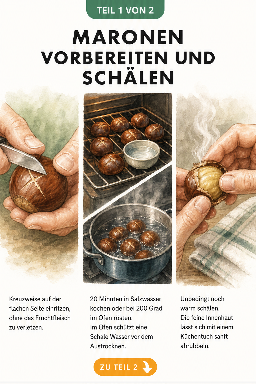 Illustration: Maronen vorbereiten durch kreuzweises Einritzen, Garen im Ofen oder Topf und anschließendes Schälen im warmen Zustand.