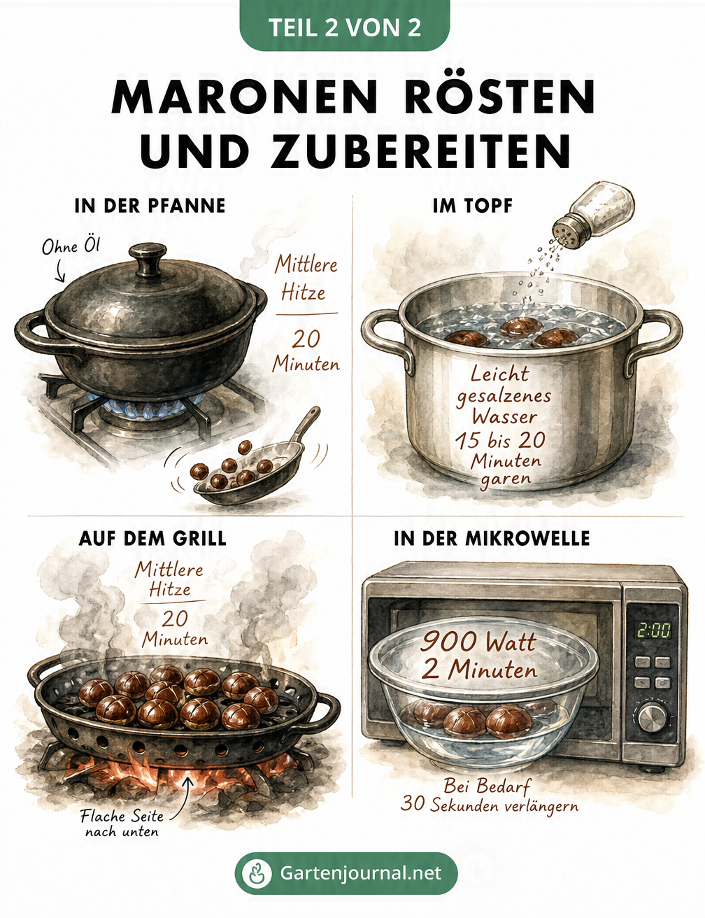 Illustration: Maronen zubereiten - Pfanne, Topf, Grill und Mikrowelle
