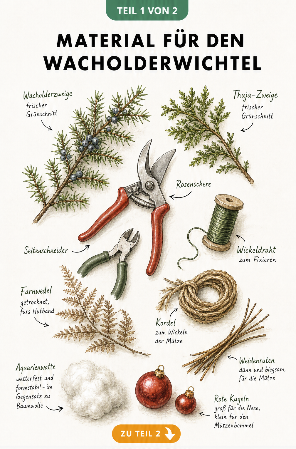 Botanische Skizze der Materialien für einen Wacholderwichtel: Rosenschere, Wickeldraht, Wacholderzweige, Aquarienwatte und rote Weihnachtskugeln