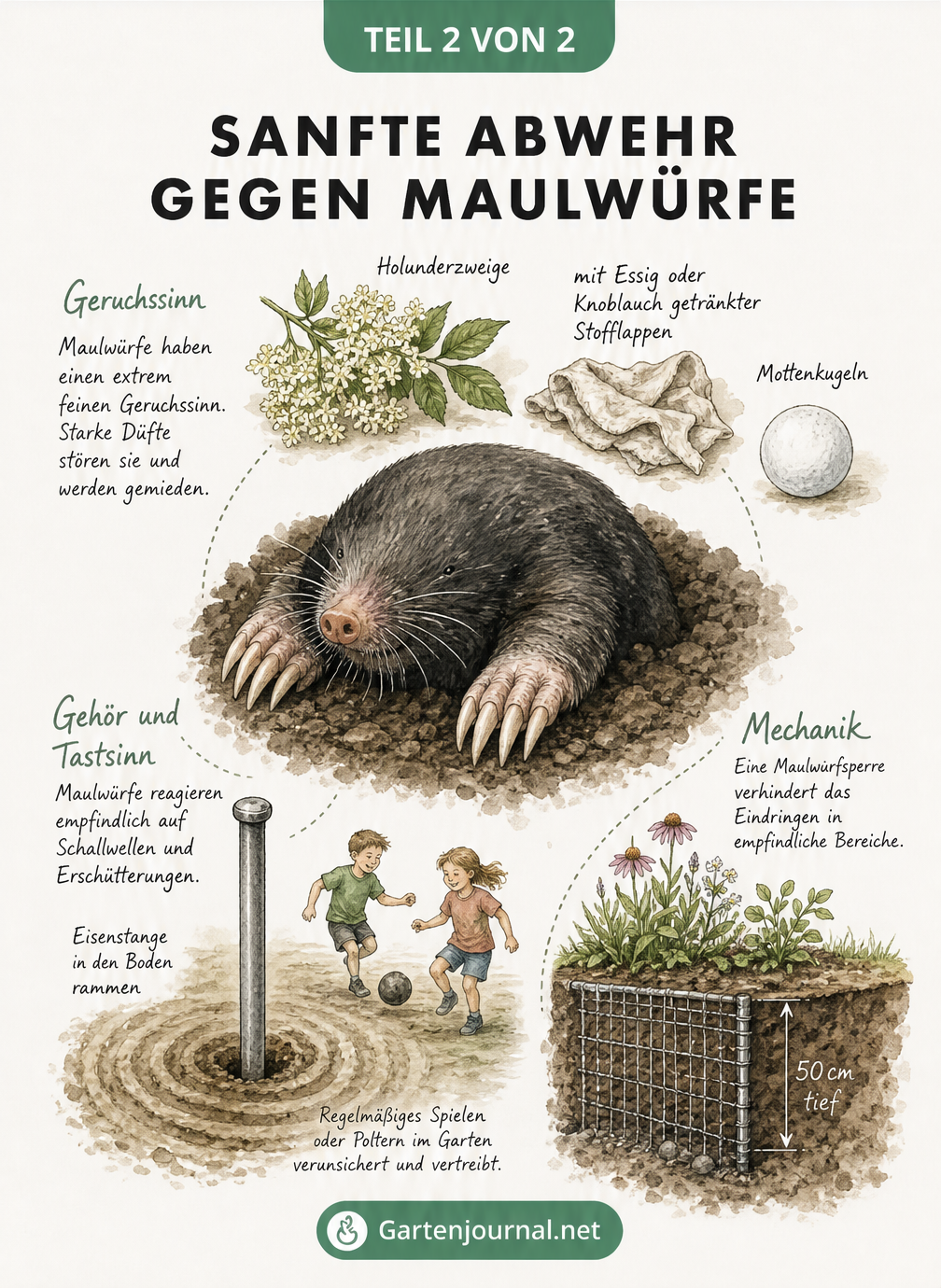 Illustration eines Maulwurfs mit Fokus auf seine empfindlichen Sinne und Abwehrmethoden wie Geruchsstoffe, Lärm und mechanische Barrieren.