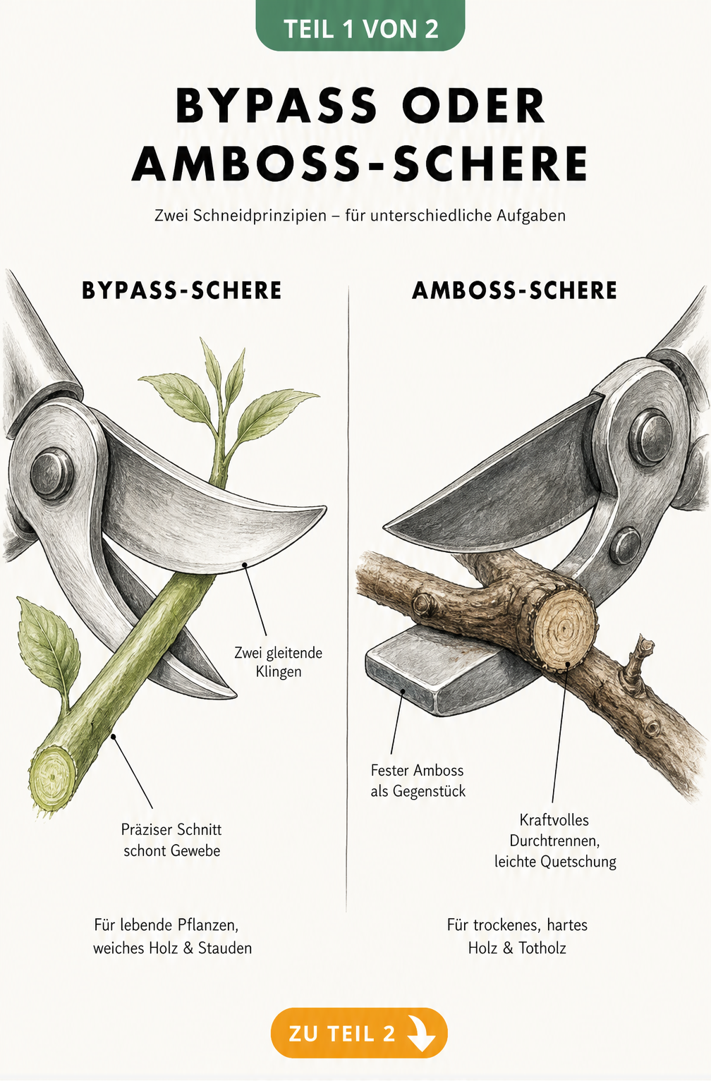 Vergleich der Mechanik von Bypass- und Amboss-Schere beim Schneiden von Holz