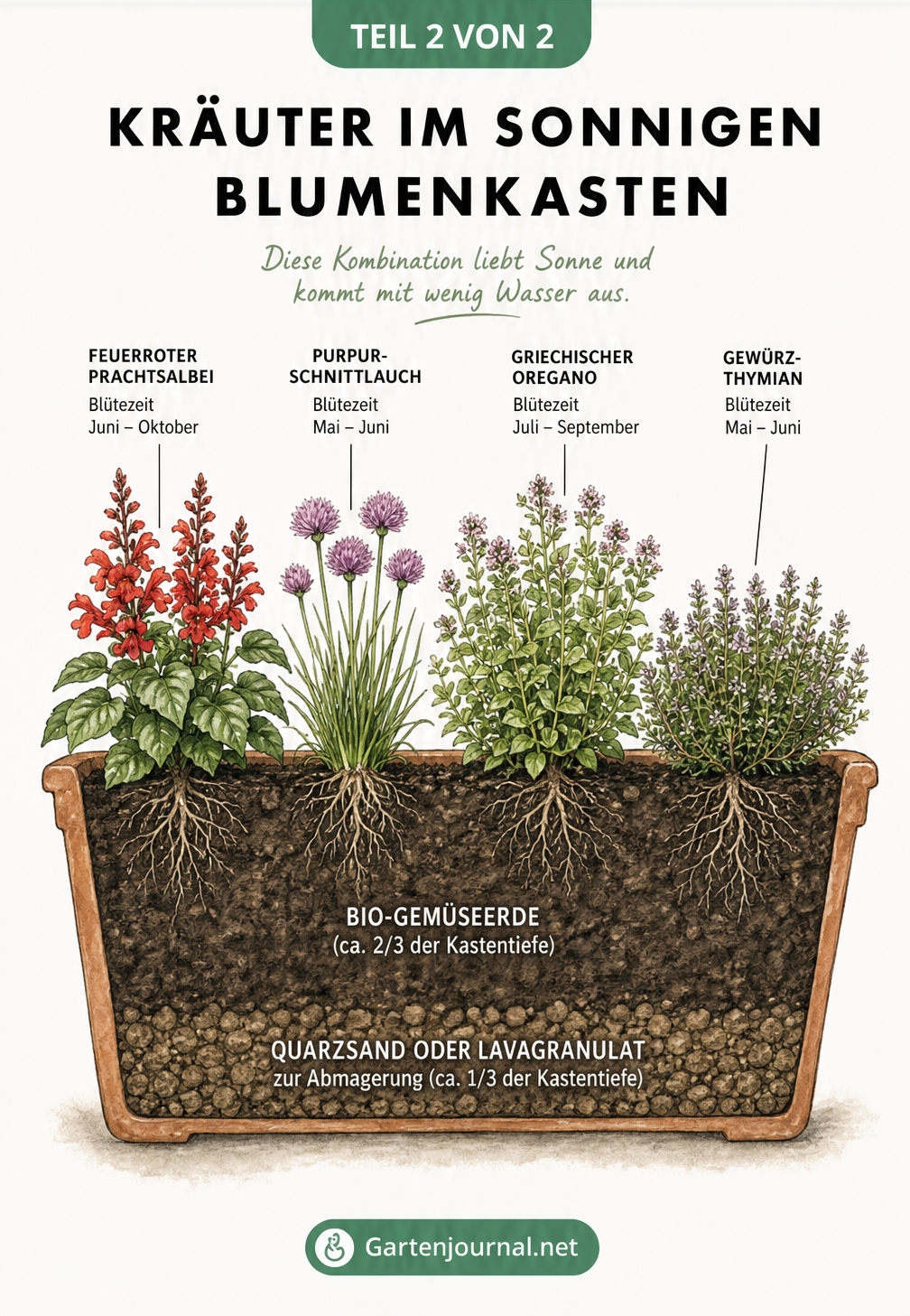 Schnittdarstellung eines Balkonkastens mit mediterranen Kräutern wie Prachtsalbei, Schnittlauch, Oregano und Thymian sowie der passenden Erdschichtung