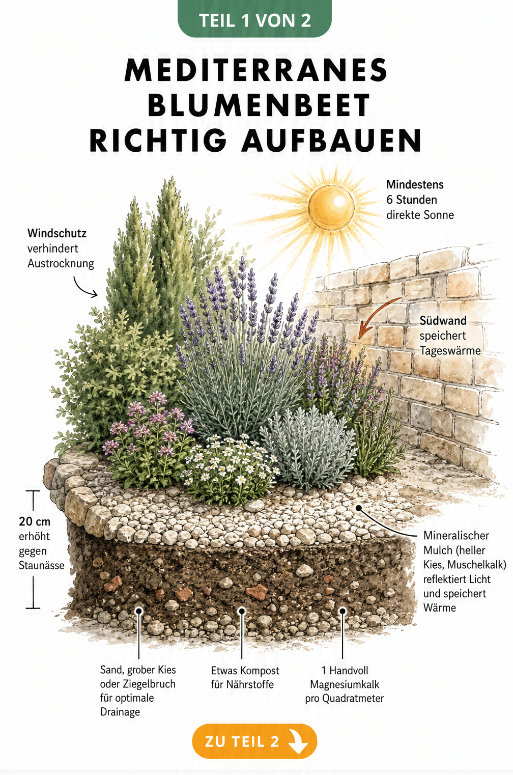 Querschnitt eines mediterranen Blumenbeets mit Erdschichten, Drainage, mineralischem Mulch und einer wärmespeichernden Südwand.