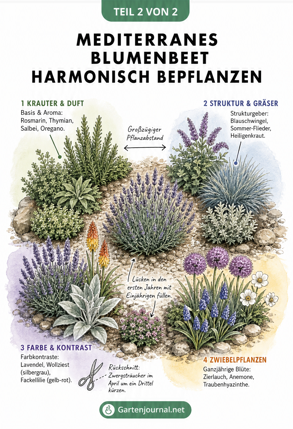 Isometrische Skizze eines mediterranen Blumenbeets mit harmonisch arrangierten Pflanzengruppen aus Kräutern, Gräsern, Stauden und Zwiebelpflanzen.