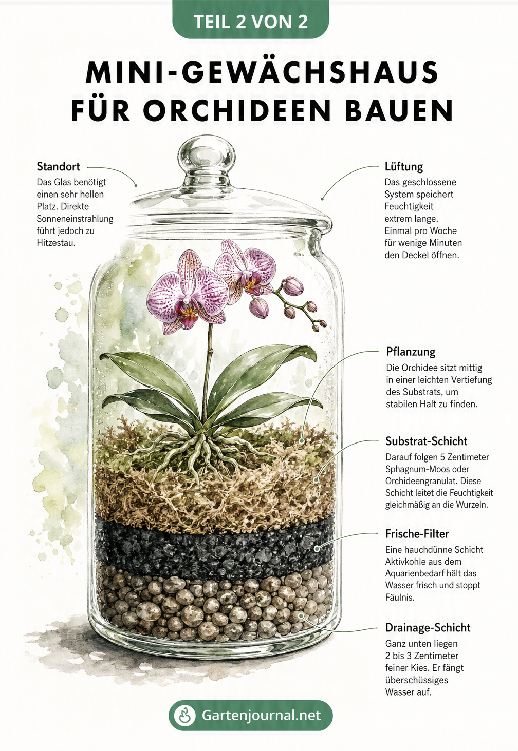 Aquarellierte Skizze eines Apothekerglases als Mini-Gewächshaus für Orchideen mit detailliertem Schichtaufbau