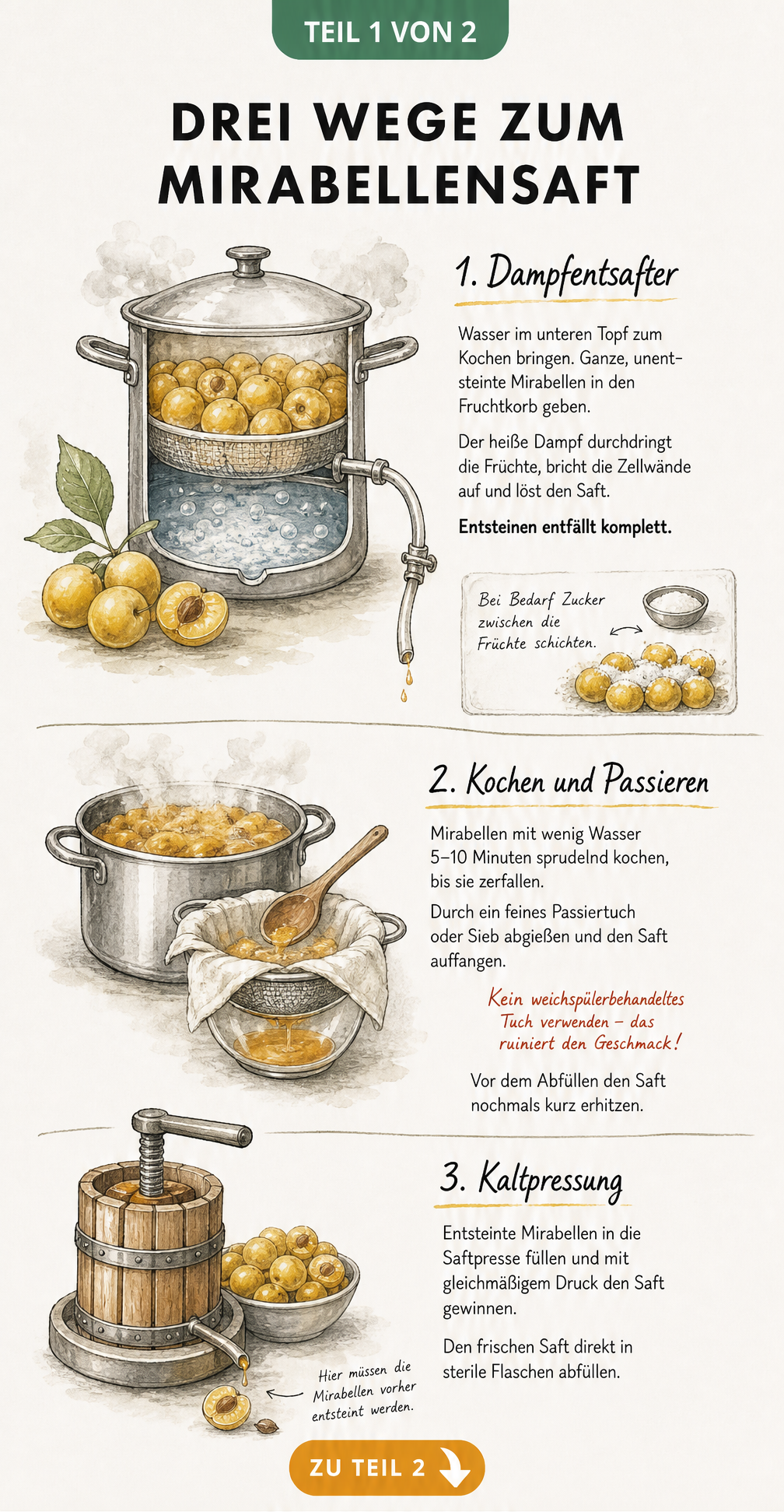 Illustration von drei Methoden zum Entsaften von Mirabellen: Dampfentsafter, Kochen und Passieren sowie Kaltpressung.