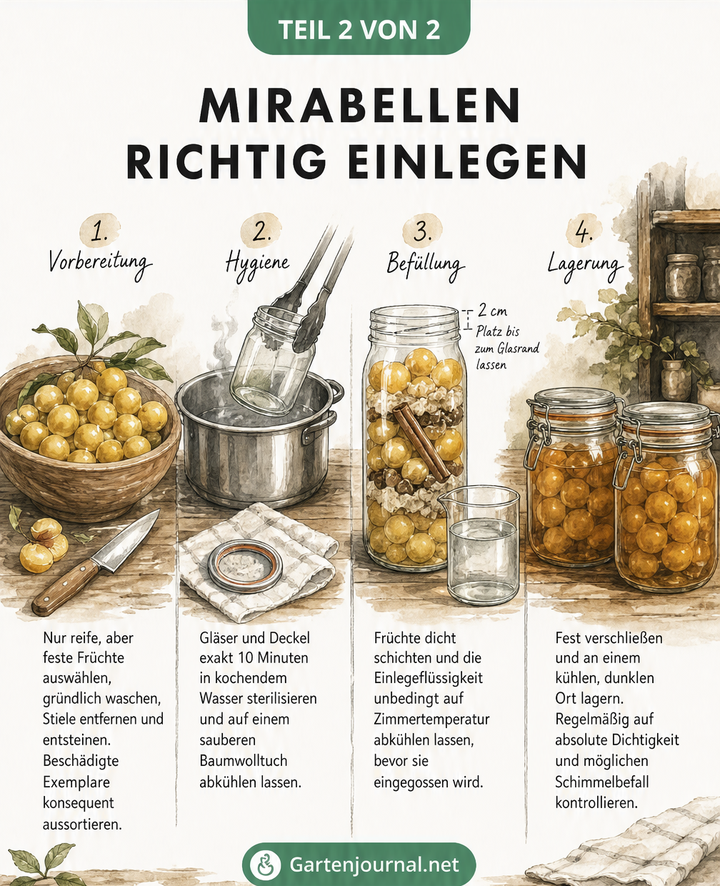 Schritt-für-Schritt-Illustration zum Einlegen von Mirabellen: Vorbereitung, Hygiene, Befüllung und Lagerung der Einmachgläser.