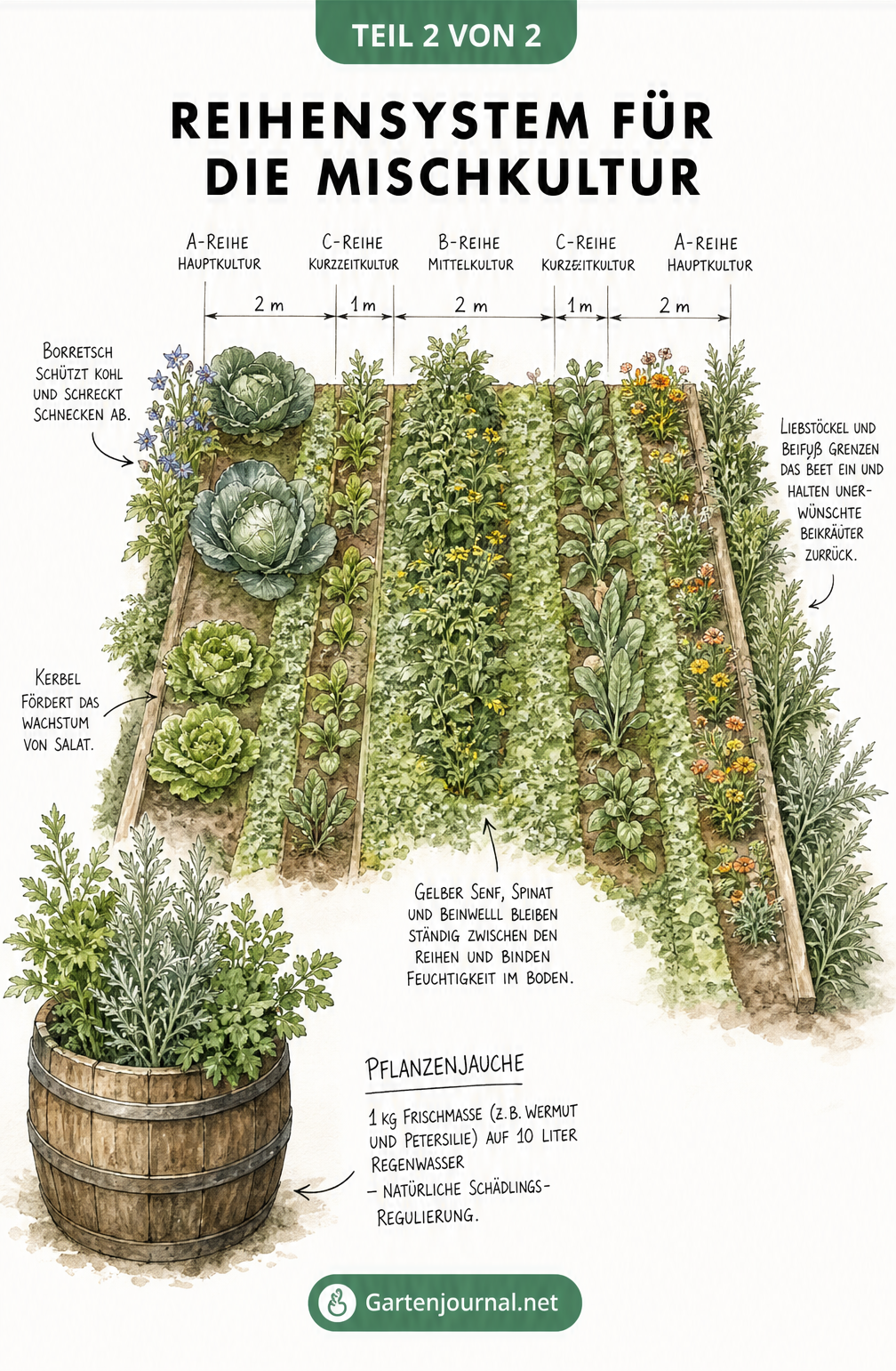 Gartenplan aus der Vogelperspektive mit dem Reihensystem nach Gertrud Franck inklusive Maßangaben und Schutzpflanzen