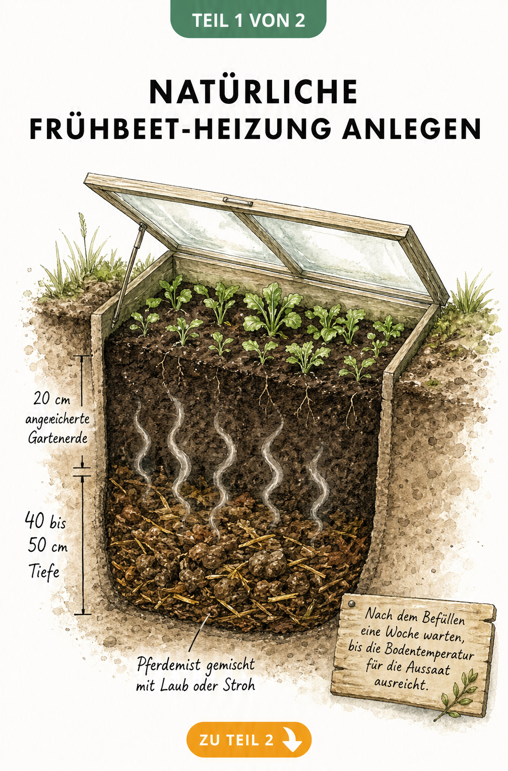 Querschnitt eines Mistbeets mit Pferdemist, Laub und Gartenerde unter einem Glasdach