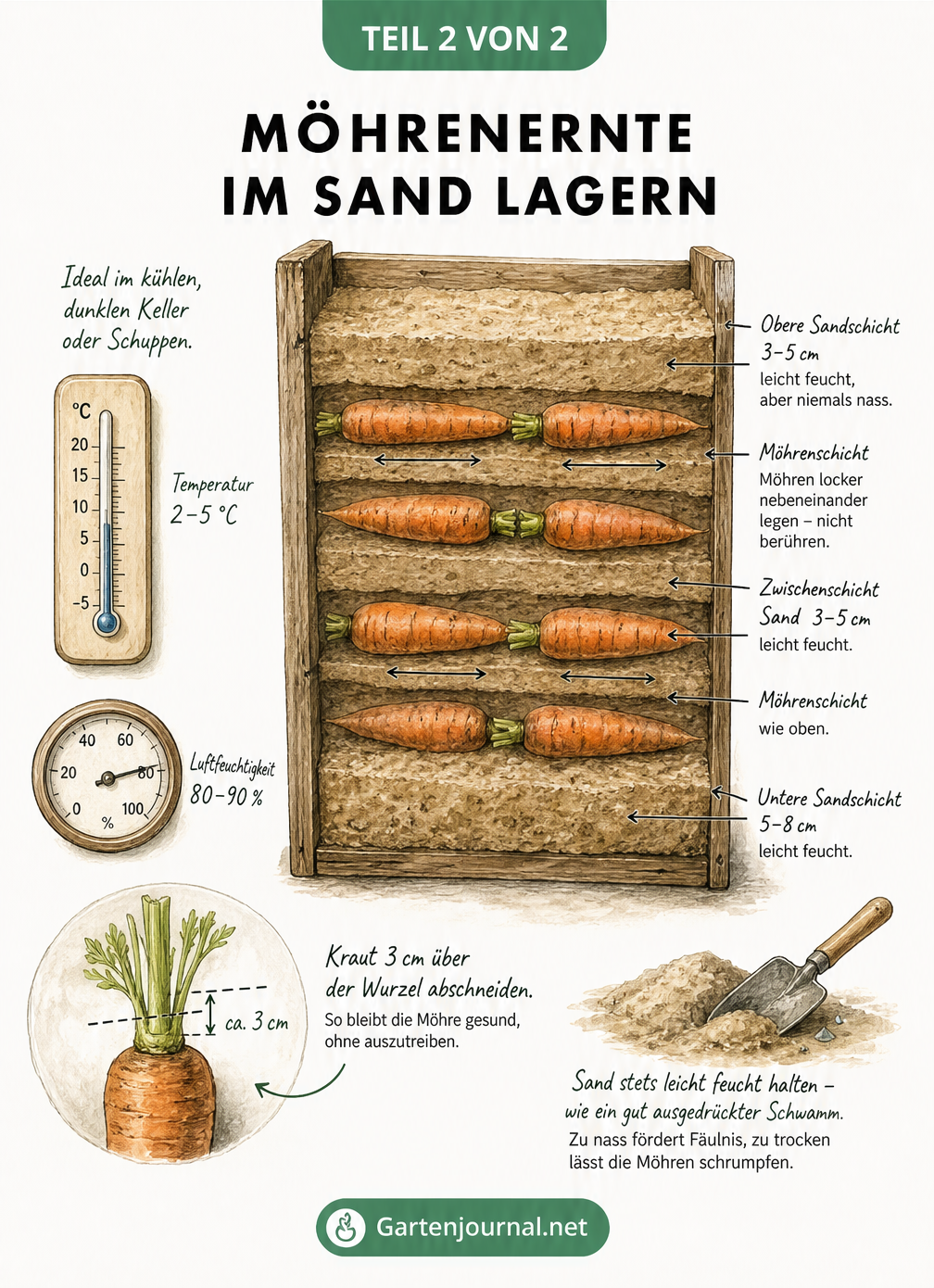 Querschnitt einer Holzkiste, in der Möhren schichtweise in feuchtem Sand gelagert werden, mit Thermometer und Hygrometer für ideale Kellerbedingungen.