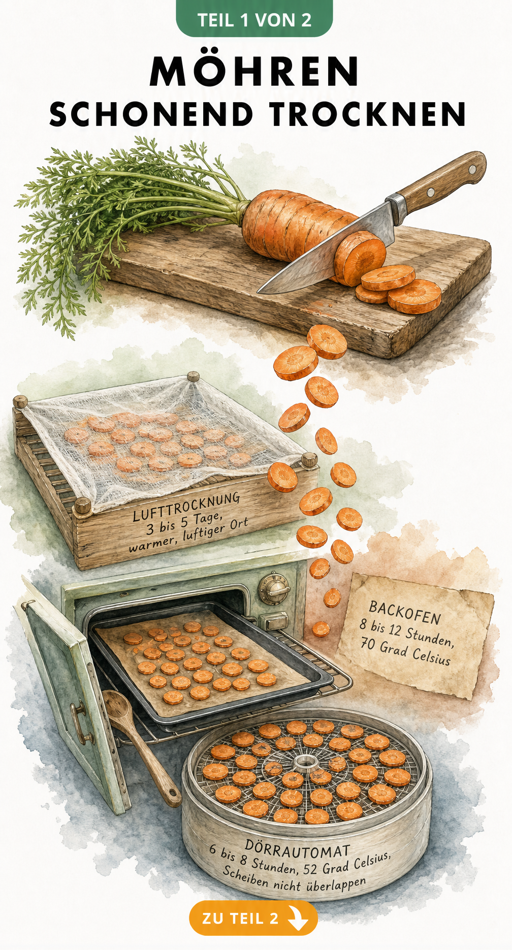 Illustration der drei Methoden zum Möhren trocknen: Lufttrocknung, Backofen und Dörrautomat