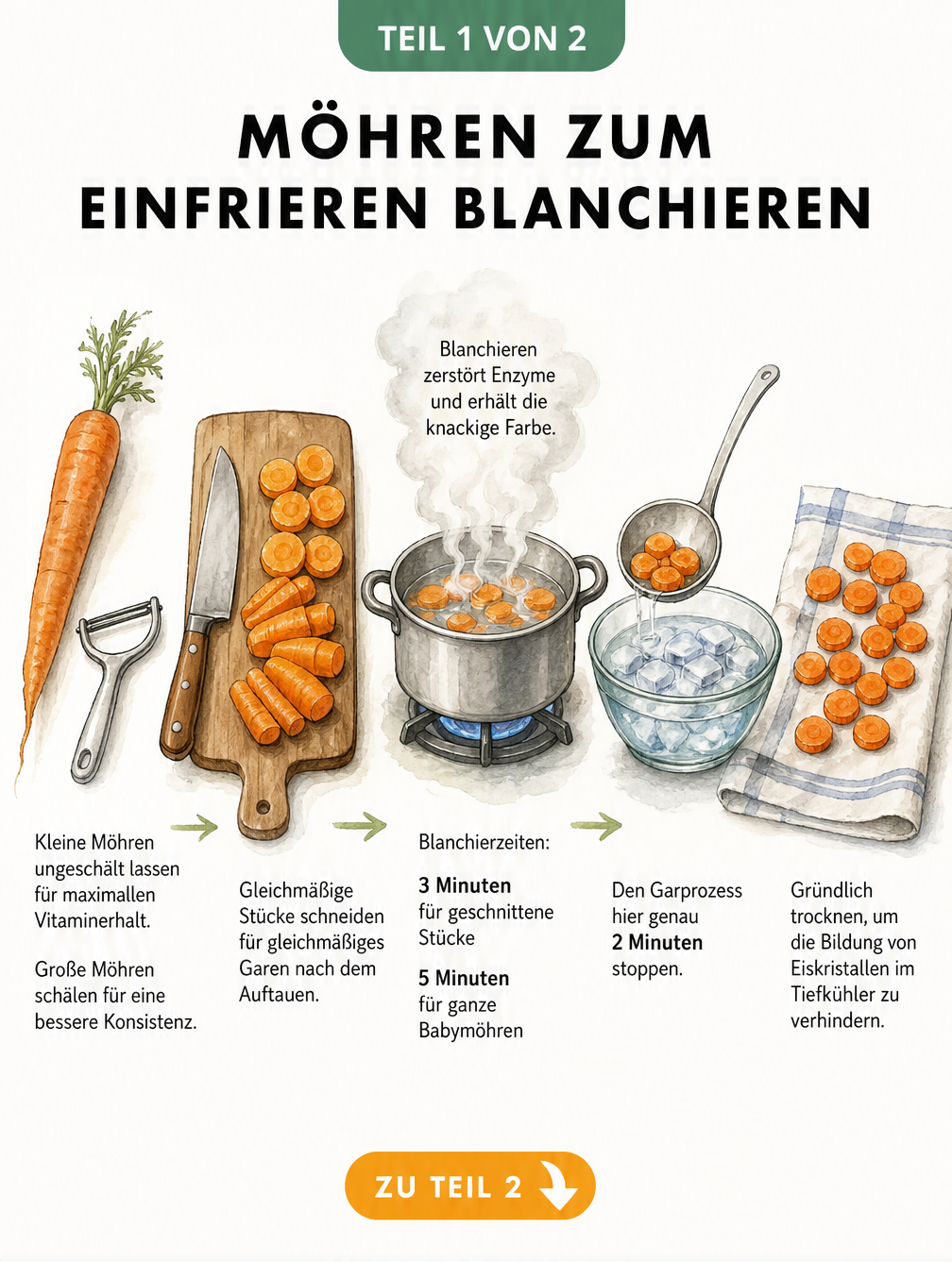 Illustration der Vorbereitung von Möhren zum Einfrieren mit Schälen, Schneiden und Blanchieren