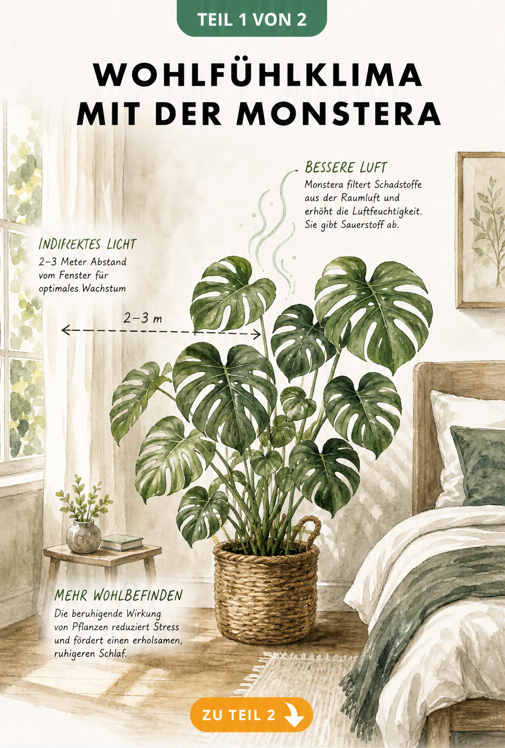 Illustration eines Schlafzimmers mit einer Monstera im Korb, die Sauerstoff abgibt und die Luftfeuchtigkeit reguliert.