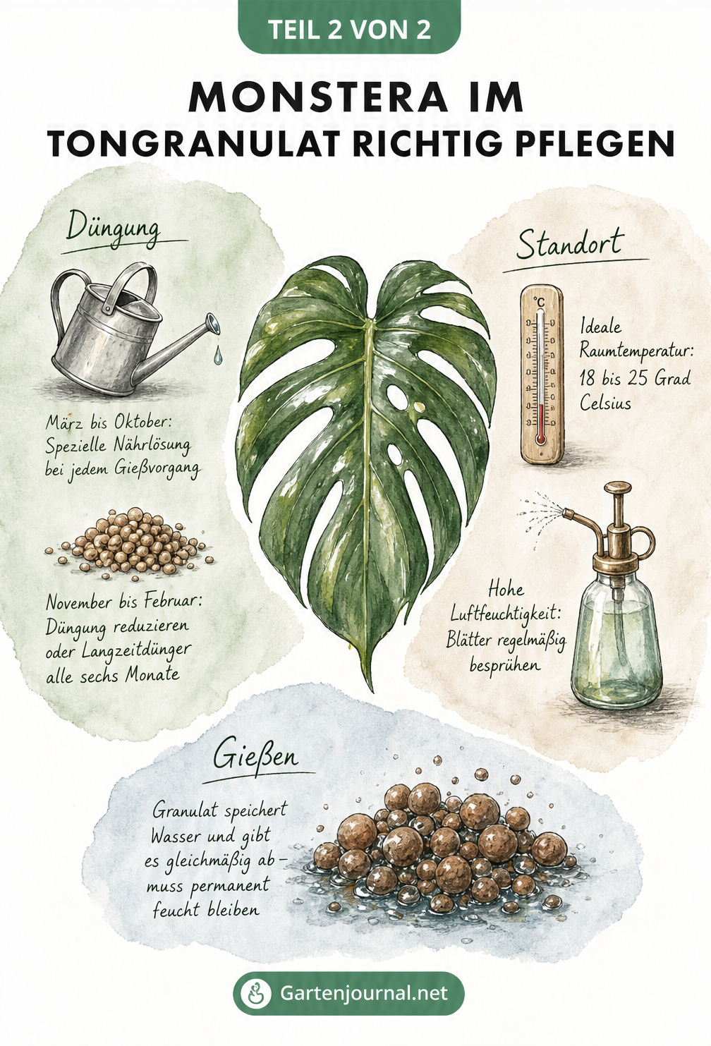 Illustration eines Monstera-Blattes mit Pflegehinweisen zu Düngung, Standort und Gießverhalten in Tongranulat