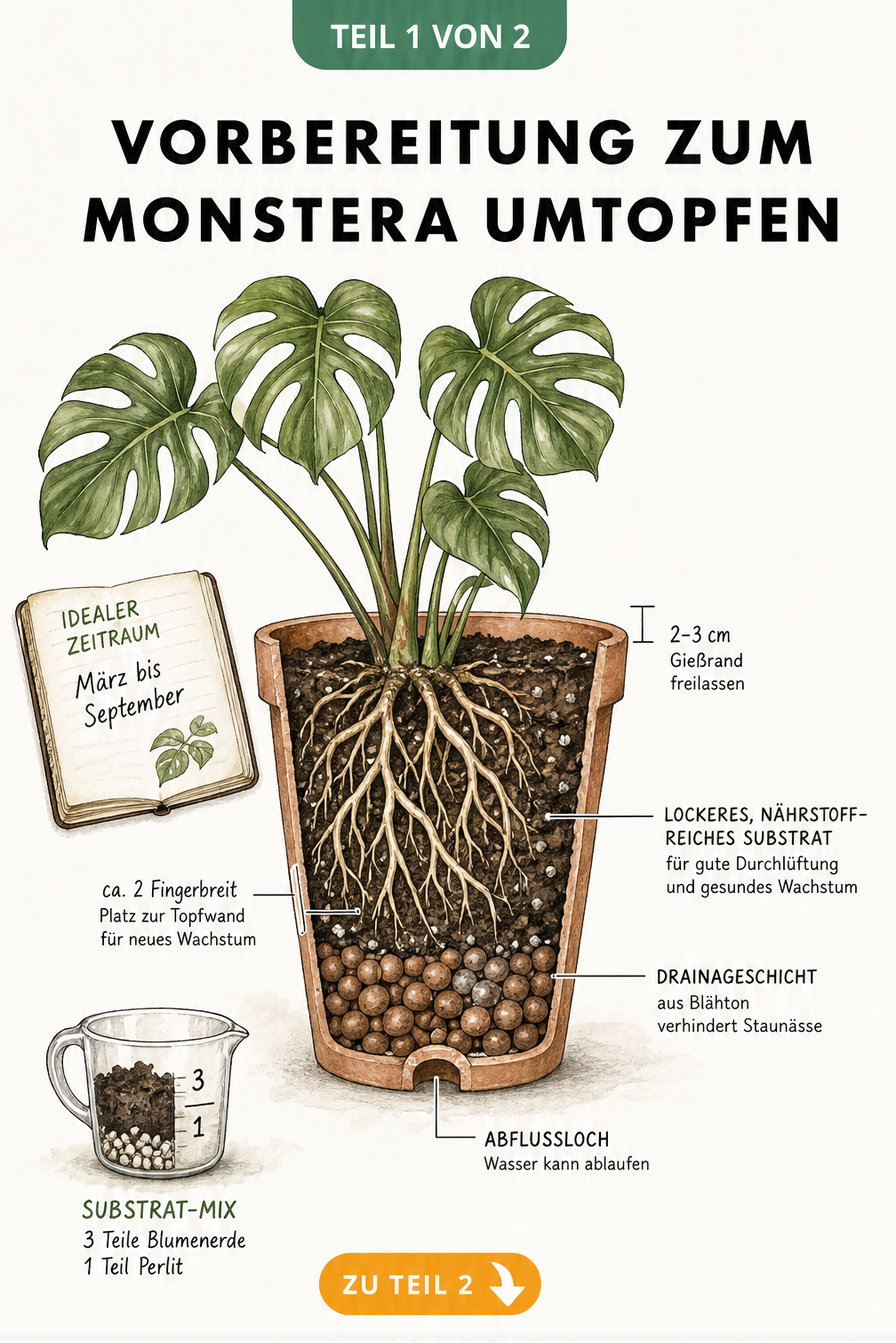Illustration eines bepflanzten Tontopfs im Querschnitt mit Schichten aus Blähton und Erde sowie Maßangaben für den Gießrand.