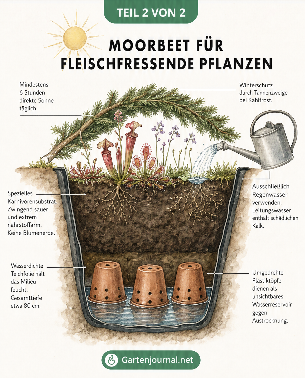 Schnittzeichnung eines Moorbeets für fleischfressende Pflanzen mit Erdschichten, Wasserspeicher aus umgedrehten Töpfen und Teichfolie.