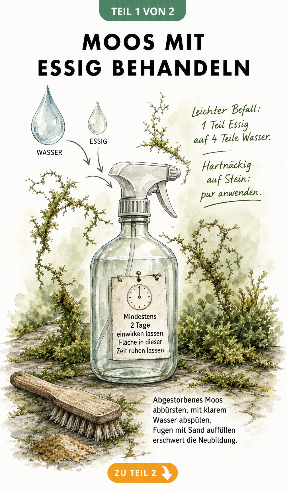 Illustration einer Sprühflasche mit Essig und Wasser zur Moosentfernung, inklusive Mischverhältnis und Einwirkzeit