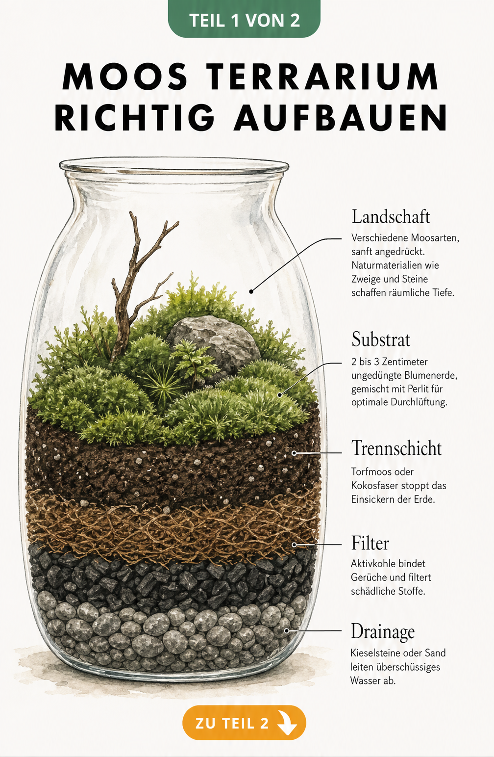 Querschnitt eines Moos-Terrariums im Glas mit Beschriftung der Schichten: Kieselsteine, Aktivkohle, Trennschicht, Substrat und Moos.