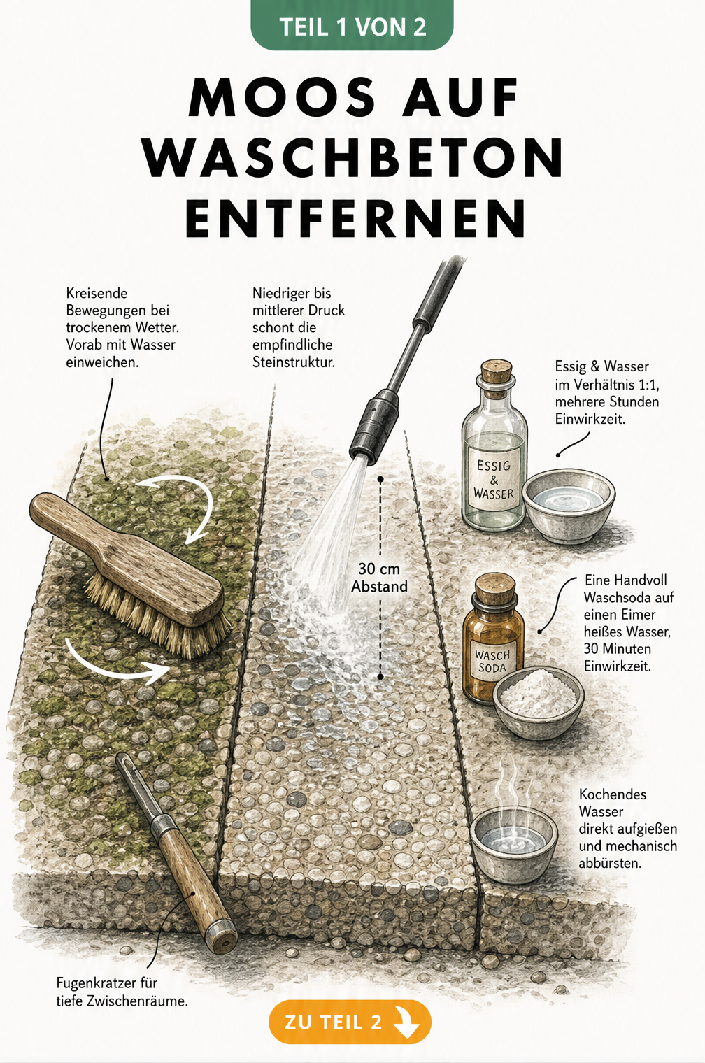 Illustration zur Moosentfernung auf Waschbetonplatten mit Bürste, Hochdruckreiniger und Hausmitteln