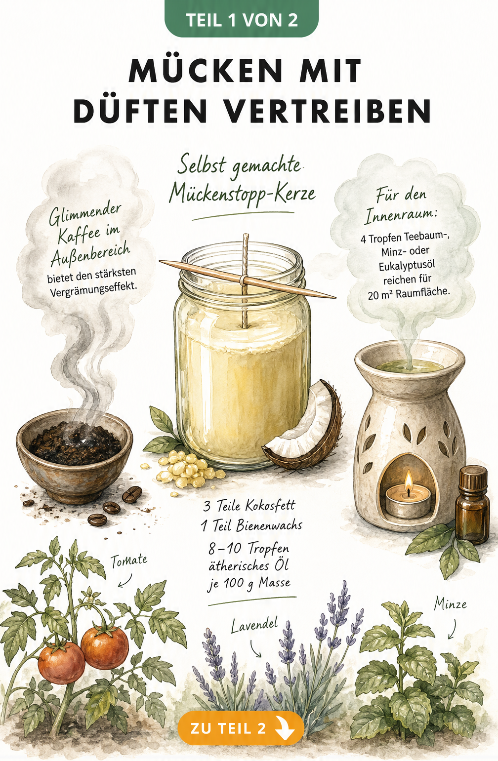 Illustration einer Duftlampe und eines Schälchens mit Kaffeepulver zur Mückenabwehr