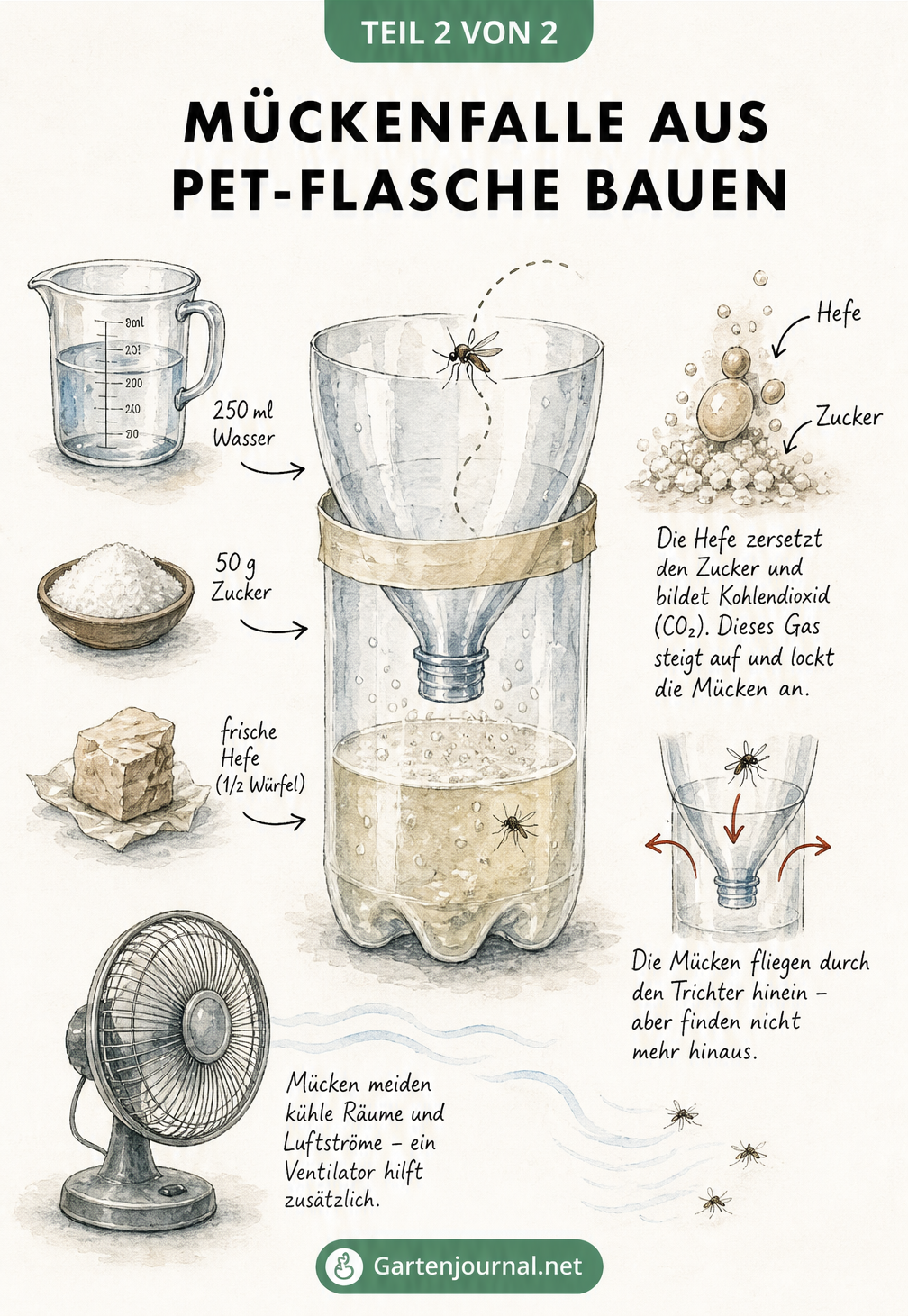 Skizze einer selbstgebauten Mückenfalle aus einer PET-Flasche mit Wasser, Zucker und Hefe