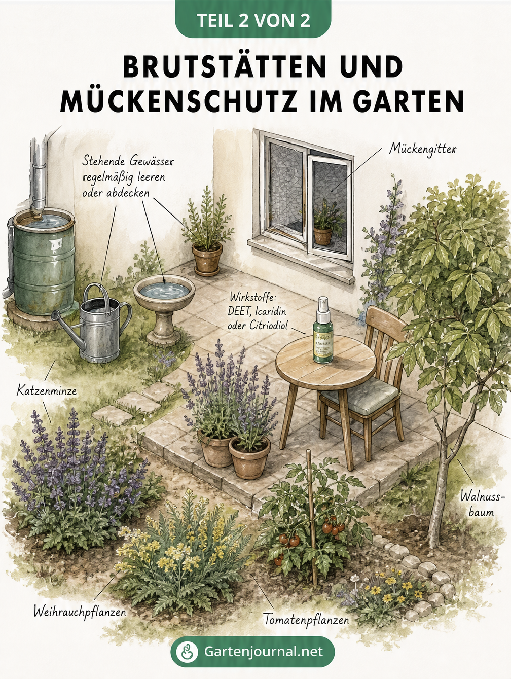 Isometrische Zeichnung eines Gartens mit Brutstätten für Mücken wie Regentonne und Vogeltränke sowie Mückenschutz durch Pflanzen wie Katzenminze und...