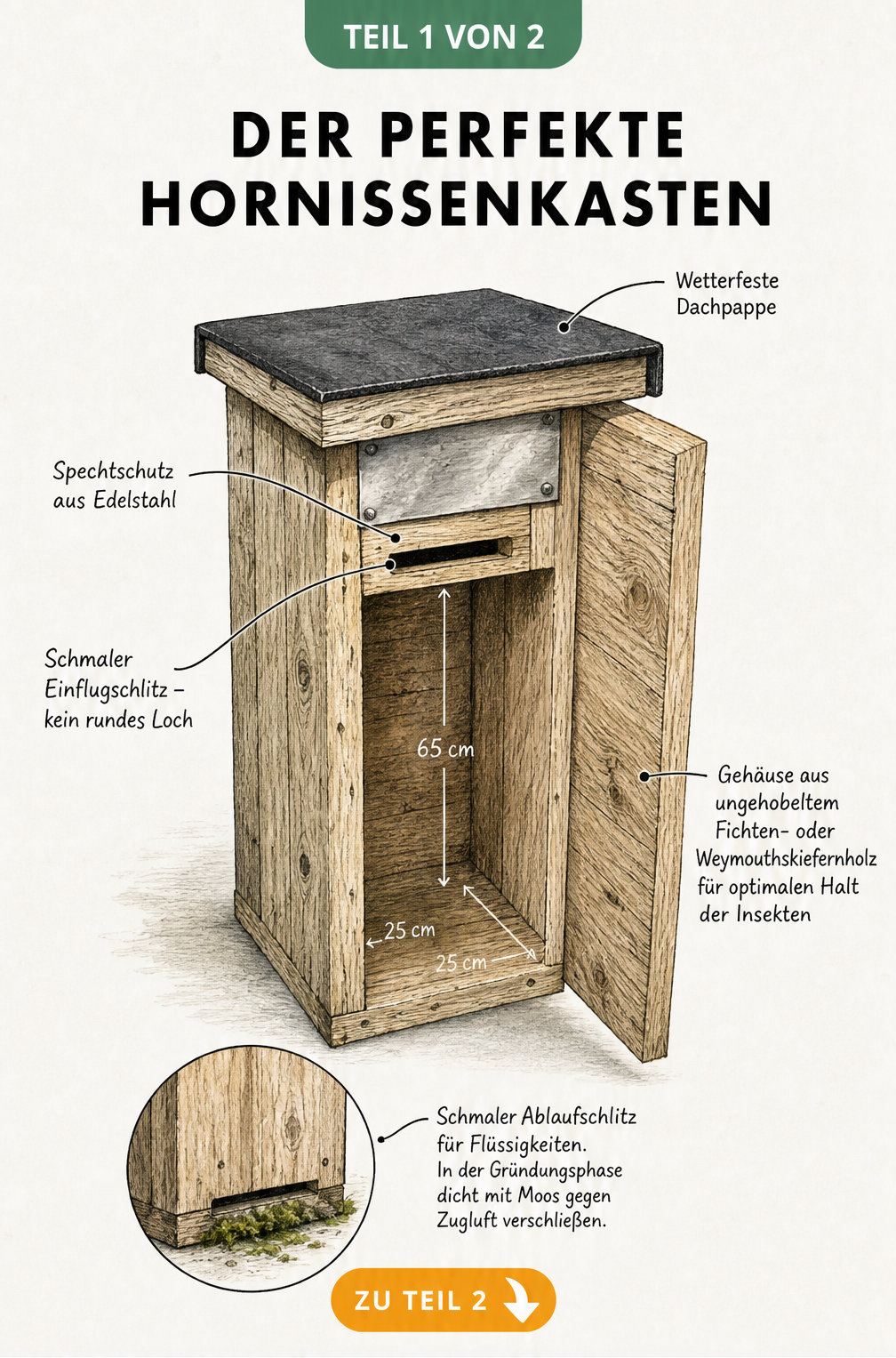Illustration eines Mündener Hornissenkastens mit geöffneter Front, Maßangaben und Beschriftungen zu Materialien wie Fichtenholz und Dachpappe.
