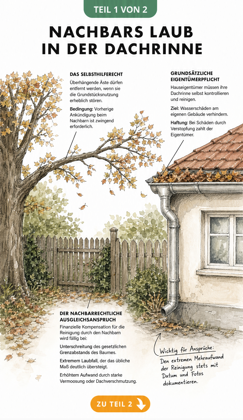 Illustration von zwei Grundstücken mit einem Laubbaum und einem Haus mit verstopfter Dachrinne