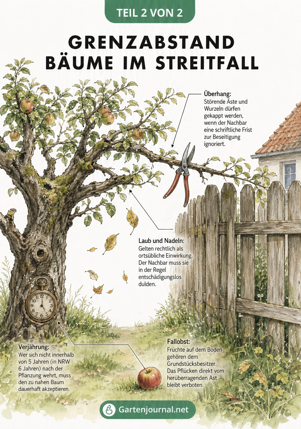 Illustration eines Apfelbaums am Holzzaun mit Erklärungen zu Überhang, Fallobst, Laub und Verjährung im Streitfall