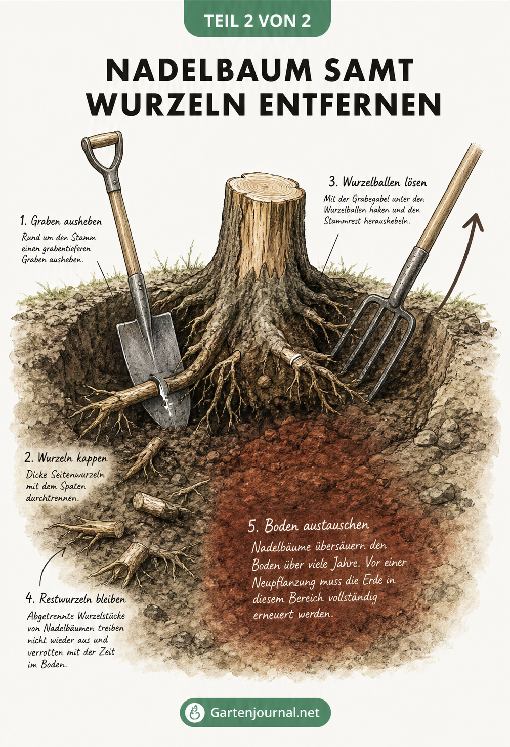 Illustration: Einen Nadelbaumstumpf samt Wurzelballen mit Spaten und Grabegabel aus der Erde hebeln