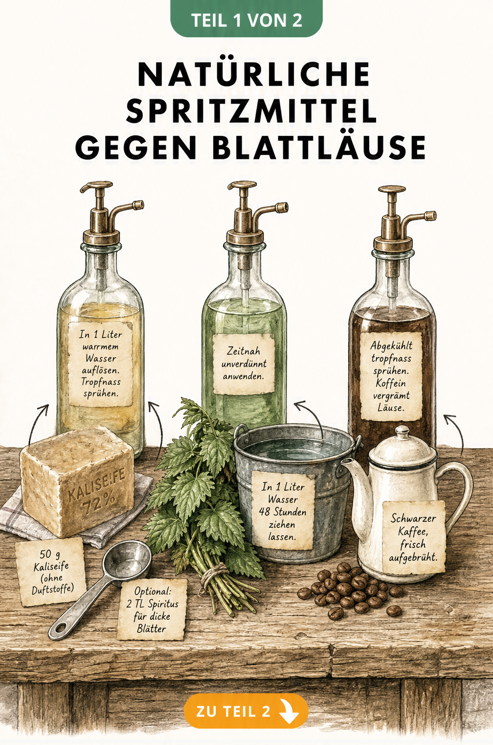 Drei Sprühflaschen mit natürlichen Hausmitteln gegen Blattläuse: Schmierseife, Brennnessel-Sud und schwarzer Kaffee auf einer rustikalen Werkbank