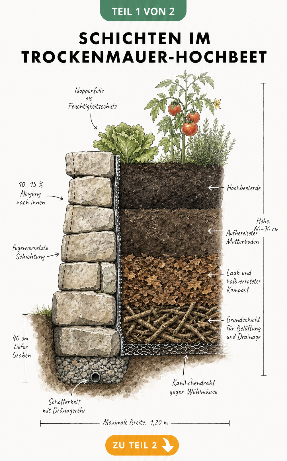 Illustration verschiedener Natursteine für eine Trockenmauer wie Travertin, Muschelkalk und Granit