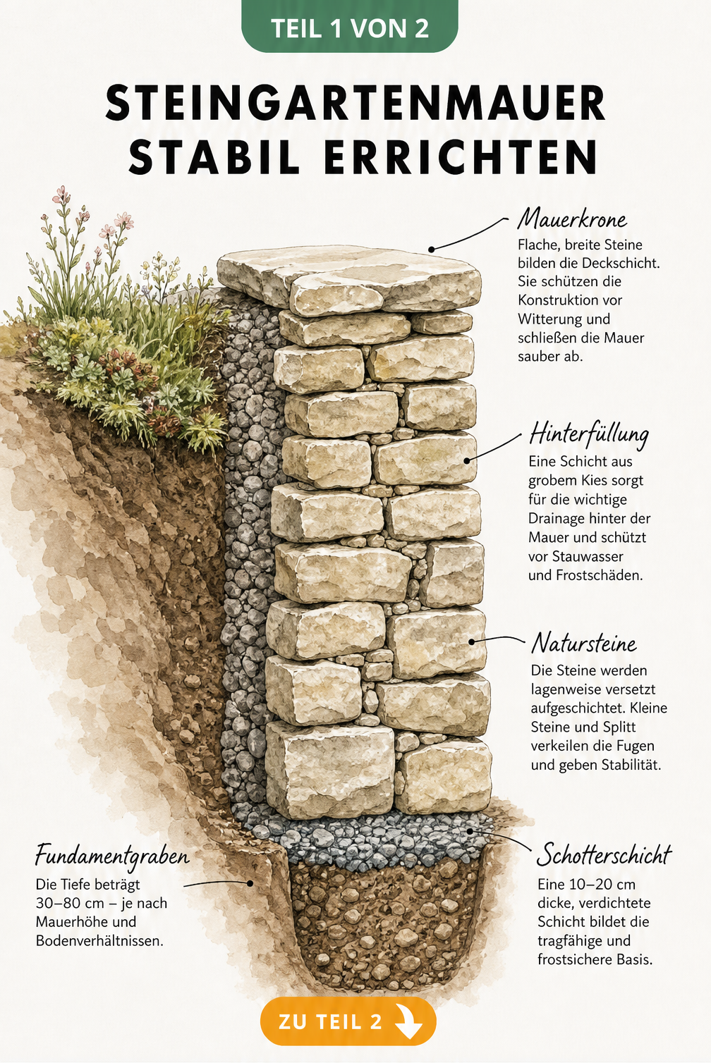 Querschnitt einer Natursteinmauer im Steingarten mit Fundament, Schotterschicht, Drainage und Mauerkrone