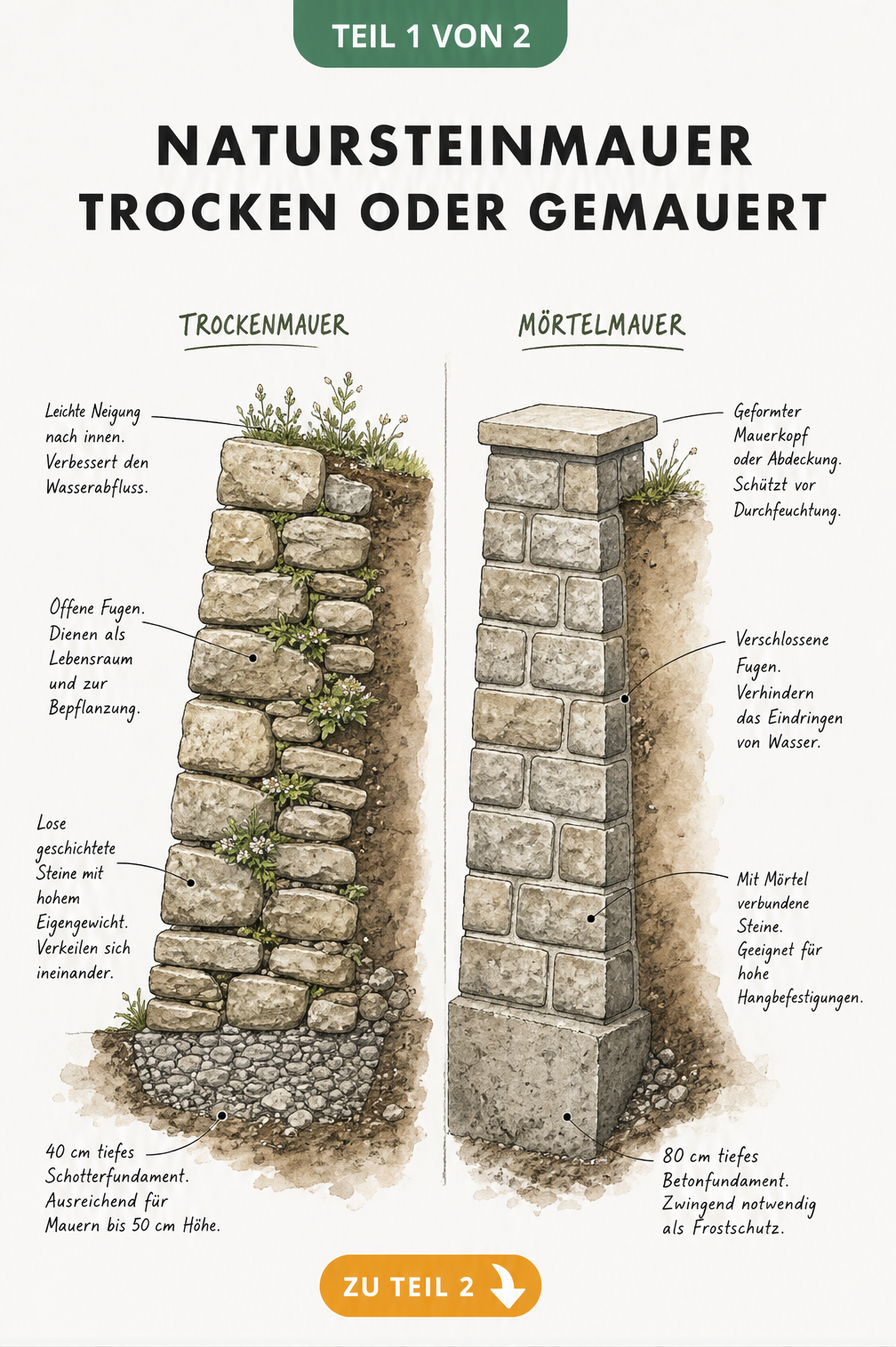 Querschnitt einer Trockenmauer und einer Mörtelmauer im Vergleich mit Fundament und Fugen