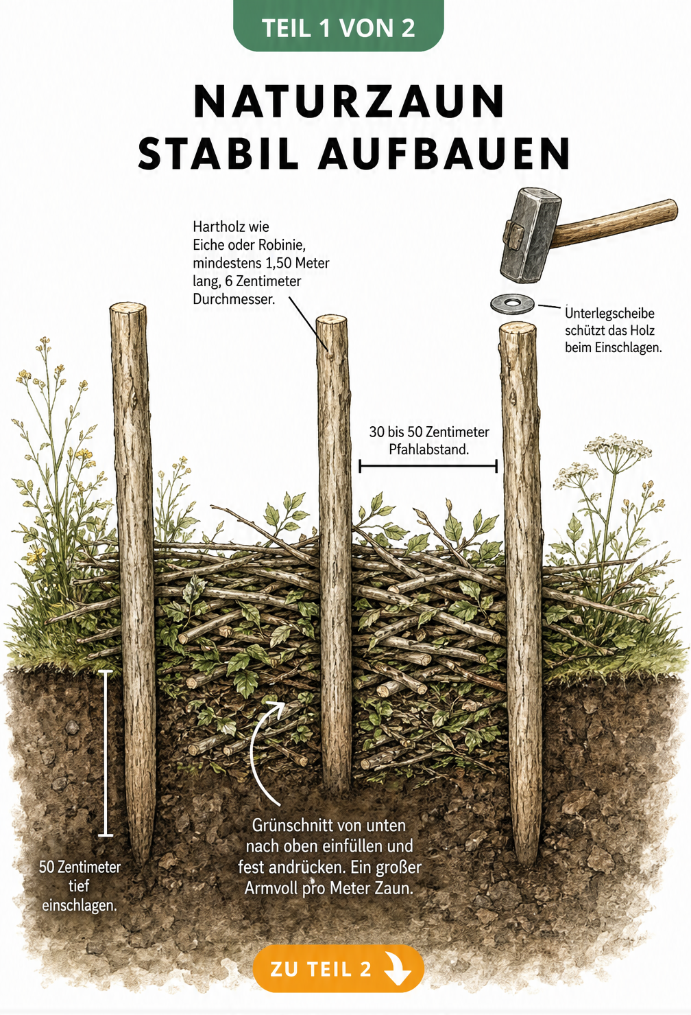 Skizze eines im Bau befindlichen Naturzauns mit Holzpfählen und eingefülltem Grünschnitt