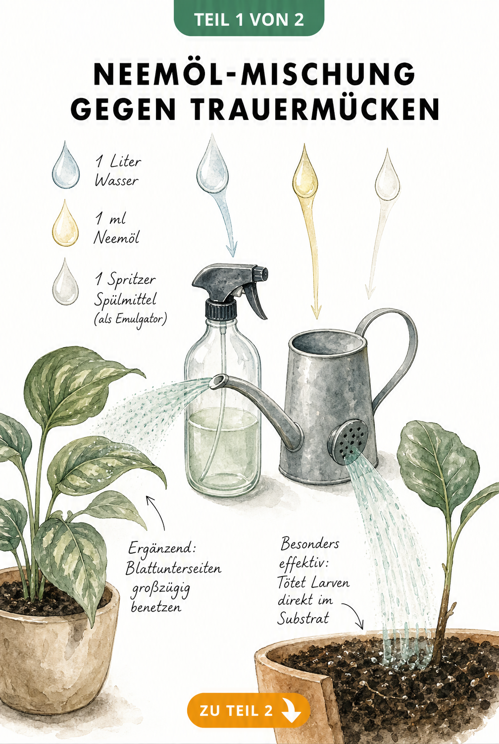 Illustration einer Neemöl-Mischung gegen Trauermücken mit Sprühflasche und Gießkanne