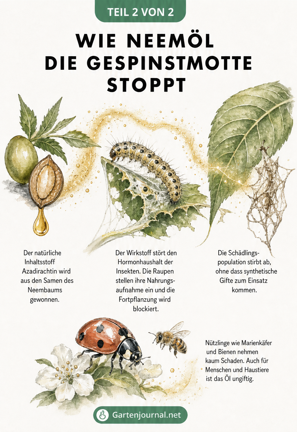 Makro-Illustration der Wirkung von Neemöl auf eine Gespinstmotten-Raupe und den Schutz von Nützlingen