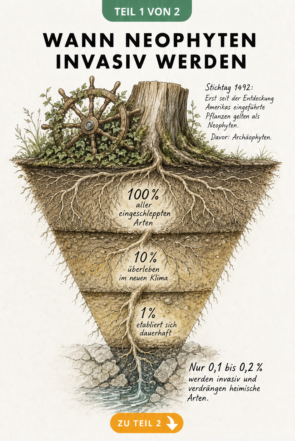 Illustration eines Baumstumpfes mit tiefem Wurzelsystem, das die Zehner-Regel für invasive Neophyten zeigt.