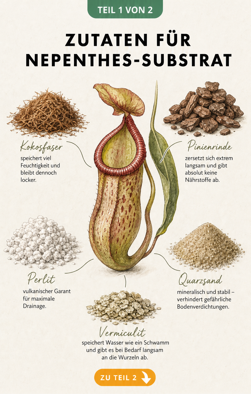 Illustration einer Nepenthes-Kanne umgeben von Substrat-Bestandteilen wie Kokosfaser, Pinienrinde, Perlit, Quarzsand und Vermiculit
