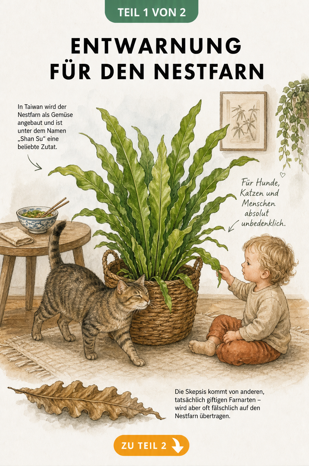 Illustration eines Nestfarns in einem Wohnzimmer mit Katze und Kleinkind, die gefahrlos mit der Pflanze interagieren