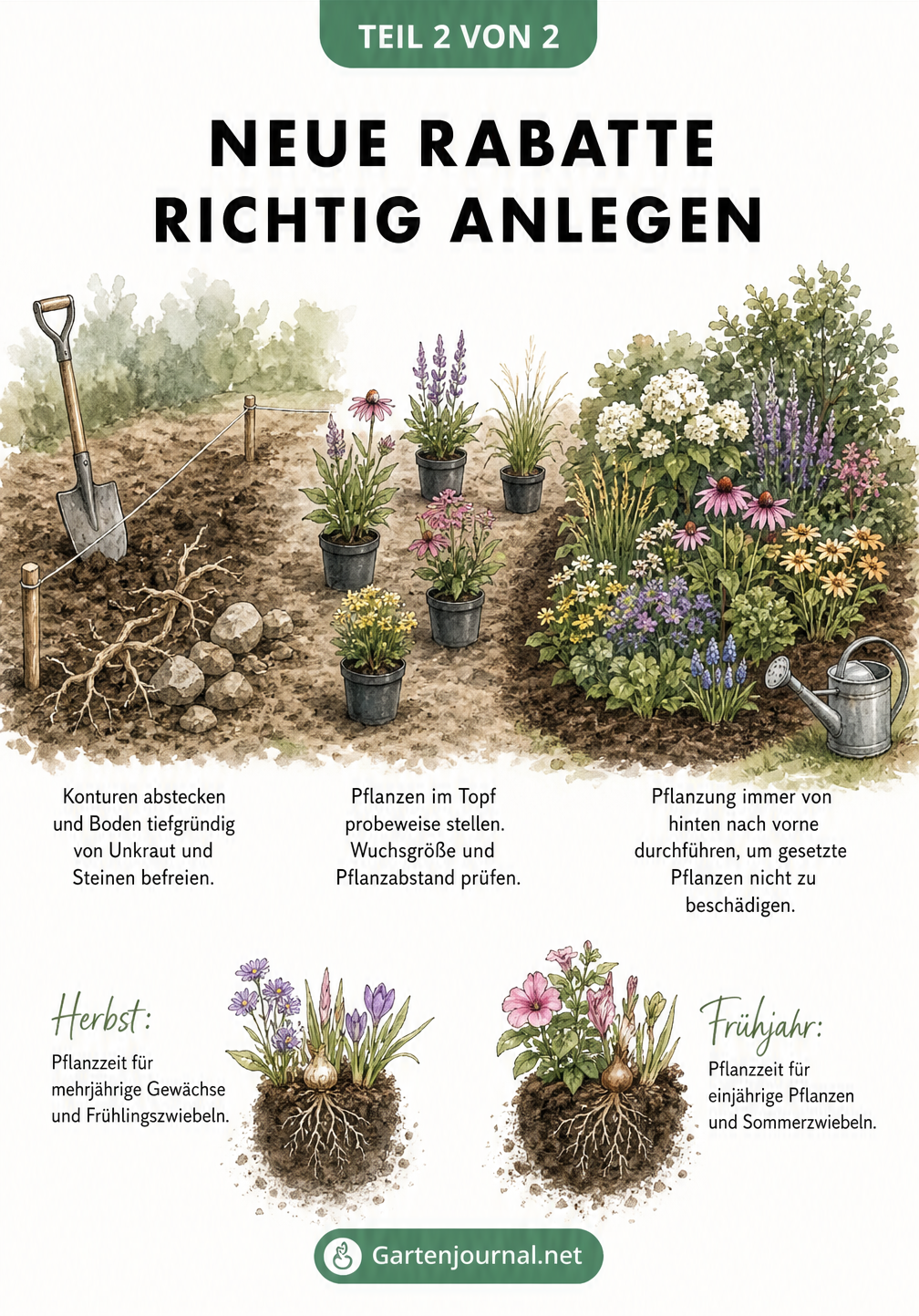 Illustration des Pflanzablaufs für ein neues Gartenbeet vom Abstecken der Konturen über das probeweise Stellen der Töpfe bis zum Einpflanzen von hinten nach...