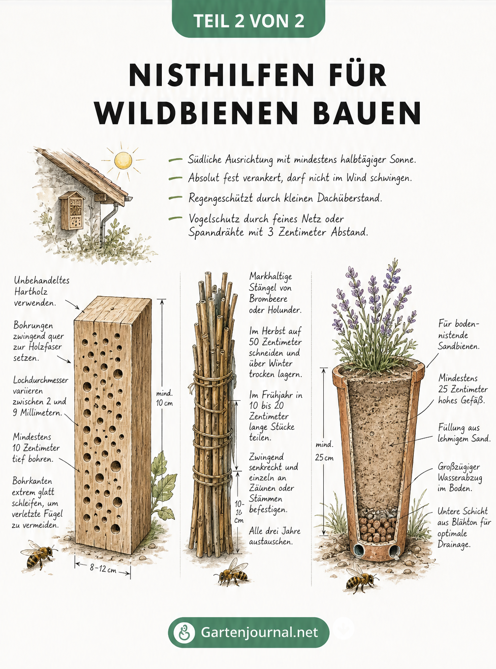 Handgezeichnete Skizze von drei Nisthilfen für Wildbienen: Holzblock, Pflanzenstängel und ein bepflanzter Kübel im Querschnitt