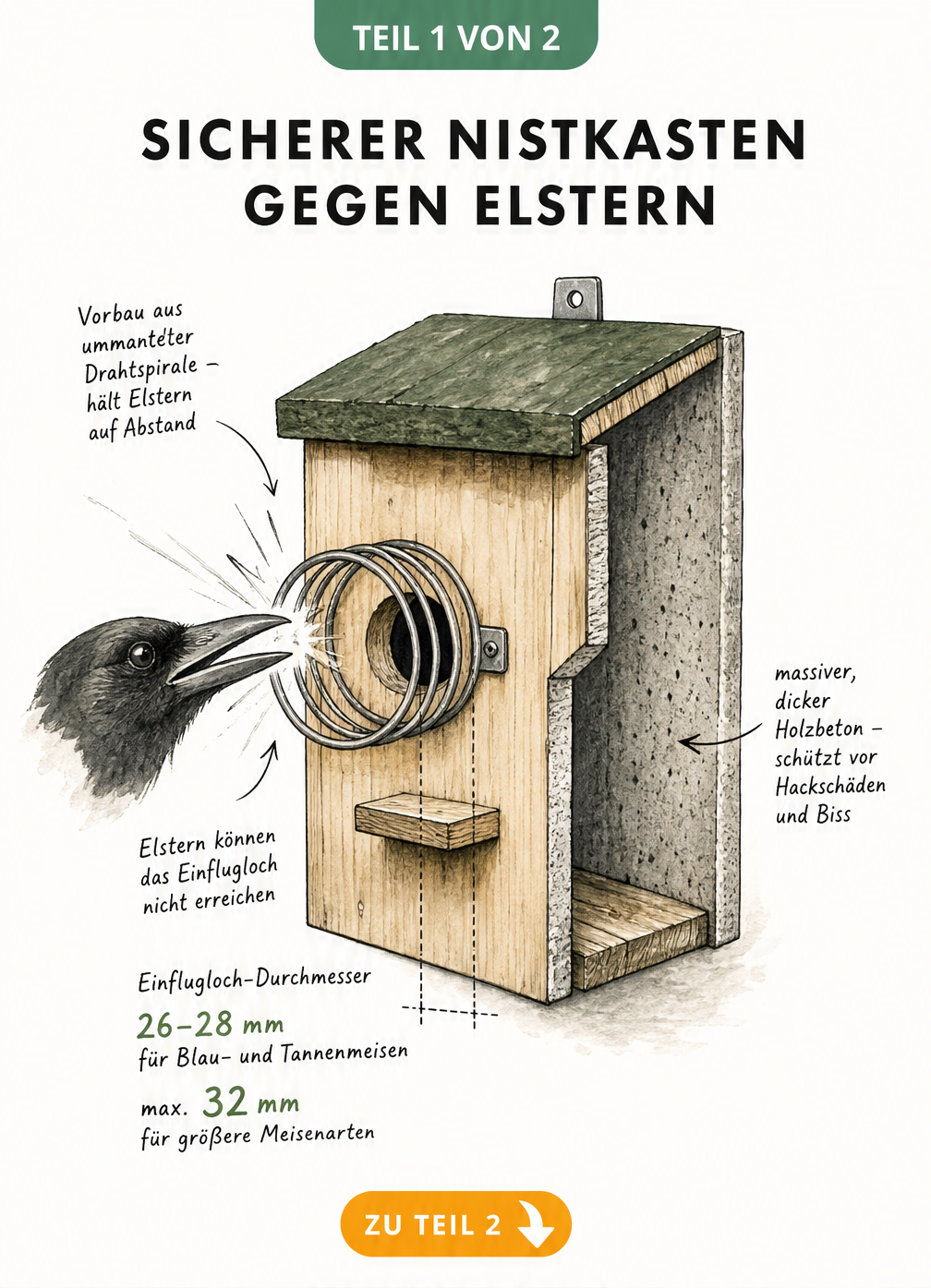 Risszeichnung eines Nistkastens aus Holzbeton mit Drahtspirale am Einflugloch als Schutz vor Elstern