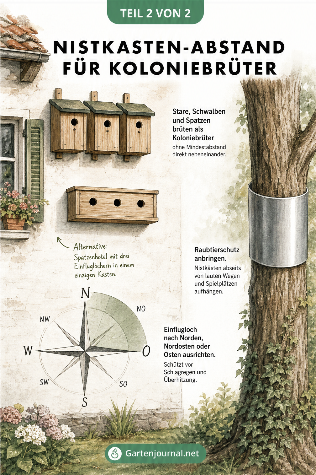 Illustration einer Hausfassade mit Nistkästen für Koloniebrüter, einer Windrose zur Ausrichtung und einem Baumstamm mit Raubtierschutz.