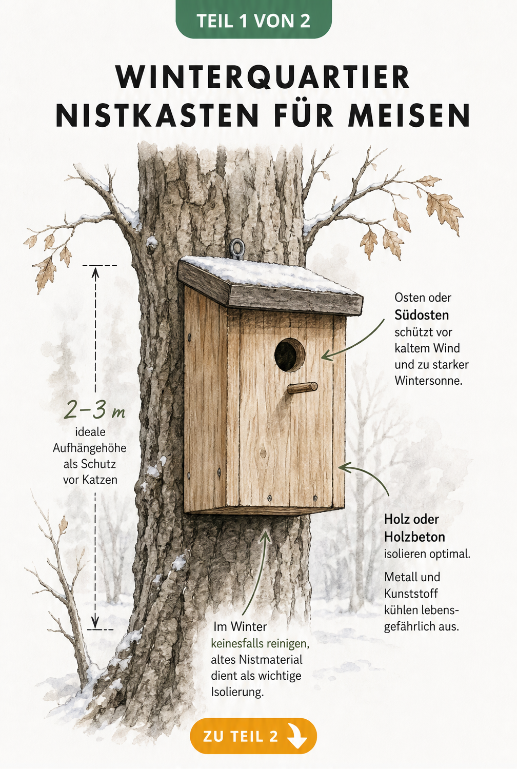 Illustration eines Nistkastens aus Holz an einem Baumstamm mit Hinweisen zu Aufhängehöhe, Ausrichtung und Material für den Winter