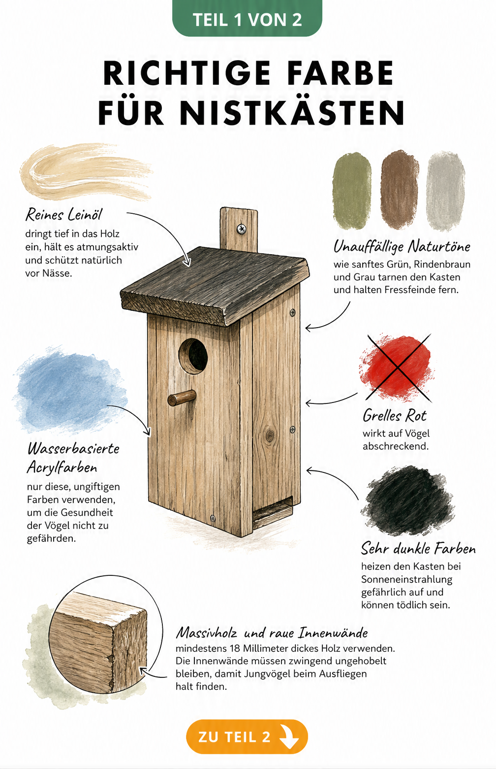 Illustration eines Nistkastens mit Erklärungen zu vogelverträglichen Farben, Leinöl und der richtigen Holzdicke.