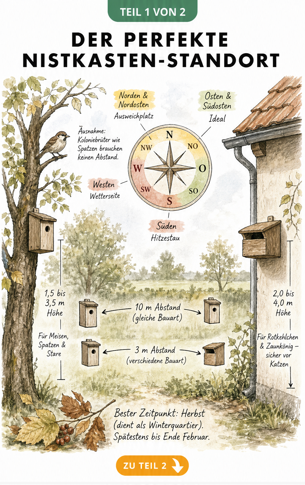 Illustration eines Gartens mit Baum und Hauswand, die den idealen Standort, die Höhe und den Abstand für Nistkästen zeigt.