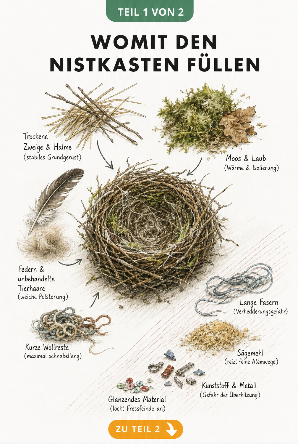 Illustration eines Vogelnests mit geeigneten und ungeeigneten Nistmaterialien wie Zweigen, Moos und Plastik