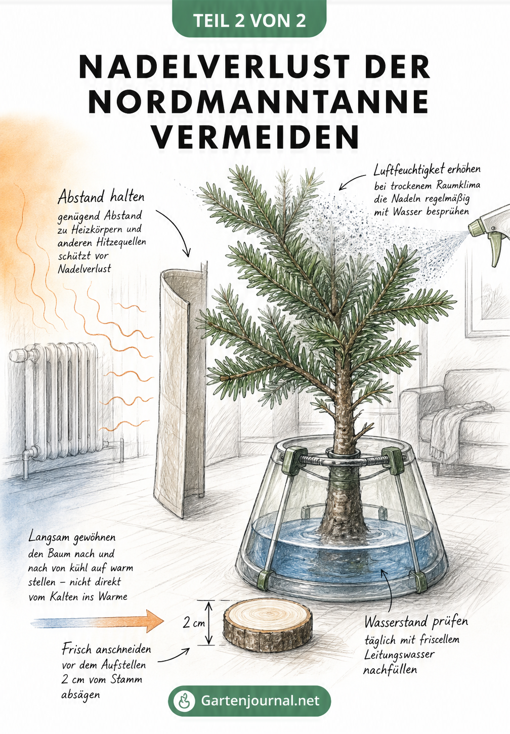 Schnittzeichnung eines Wohnzimmers mit Nordmanntanne im Christbaumständer, Wasserstand und Abstand zur Heizung